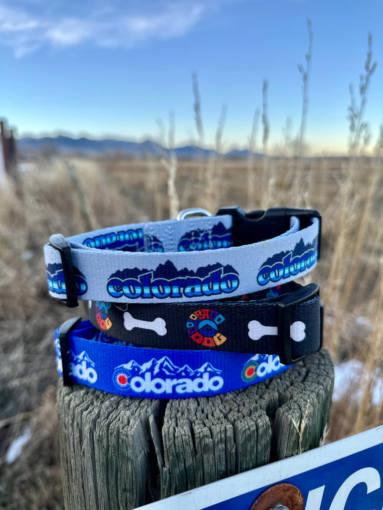 Colorado Silver Ice Dog Leash and Collar Combo