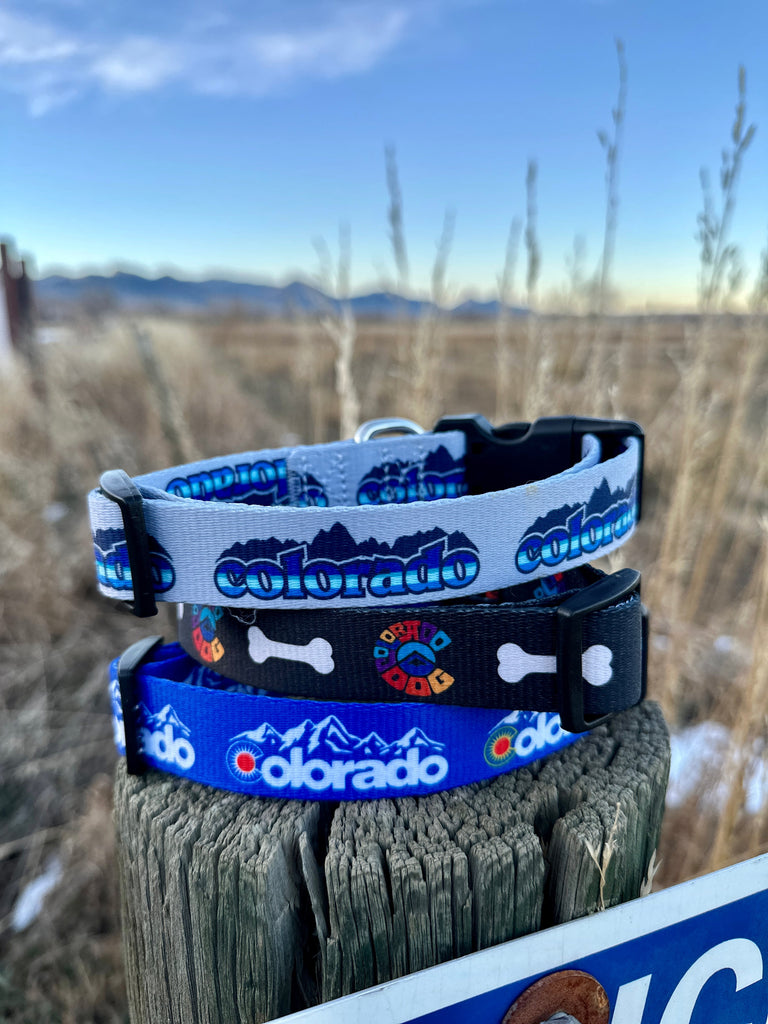 Colorado Dog Leash and Collar Combo