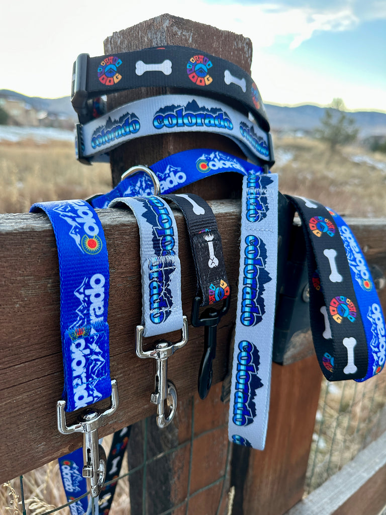 Colorado Silver Ice Dog Leash and Collar Combo